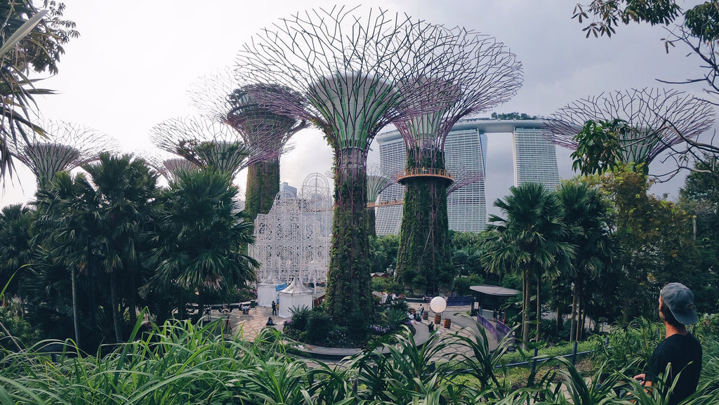 Malaysian Caves, Beaches of Singapore, and Stuck in China